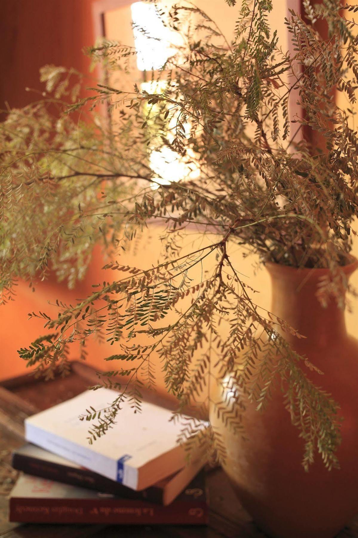 Bed and Breakfast Le Jardin Des Douars Al Ghar Exterior foto